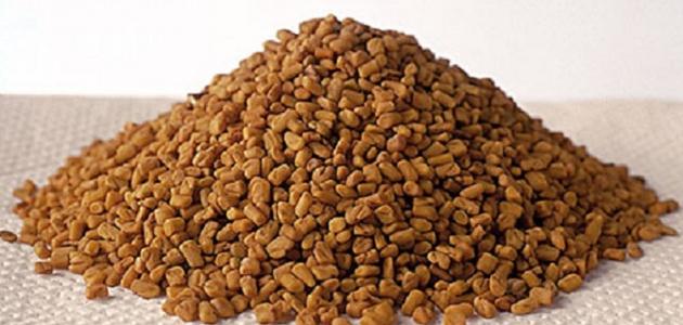 كيف تؤكل الحلبة