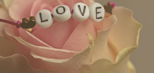 كيف تحب شريك حياتك؟