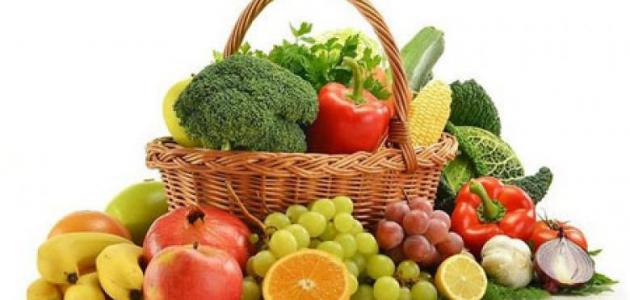 كيف تحصل النباتات على الغذاء كيف تحصل النباتات على الغذاء