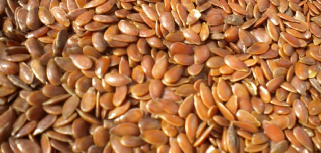 كيف تزرع البذور كيف تزرع البذور