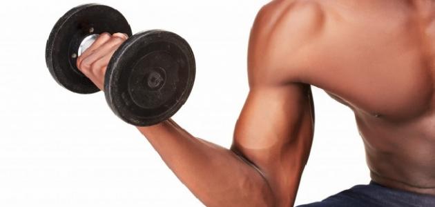 كيف تزيد قوة جسمك كيف تزيد قوة جسمك