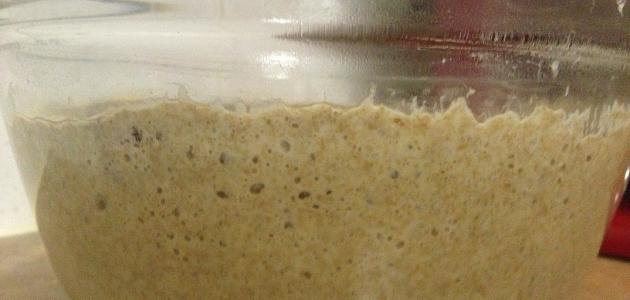 كيف تصنع الخميرة البلدية كيف تصنع الخميرة البلدية