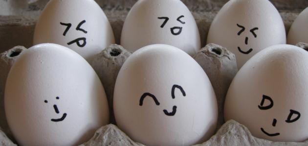 كيف تعرف البيض الفاسد كيف تعرف البيض الفاسد