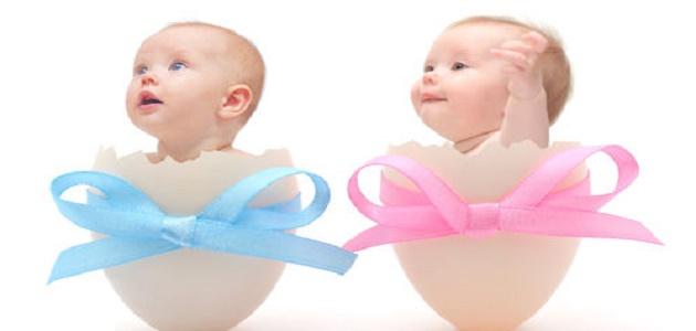 كيف تعرف الجنين ذكر أم انثى كيف تعرف الجنين ذكر أم انثى