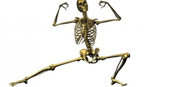 كيف تقوي العظام كيف تقوي العظام