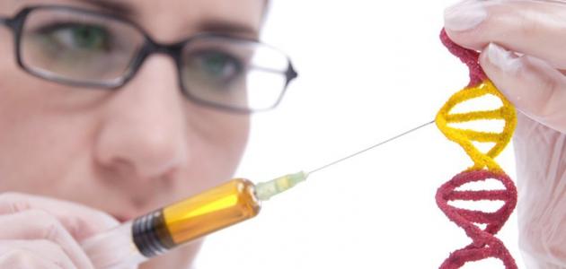 كيف تنتقل الصفات الوراثية كيف تنتقل الصفات الوراثية