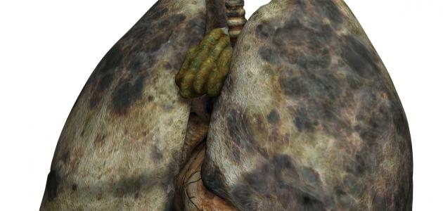 كيف تنظف رئتيك كيف تنظف رئتيك