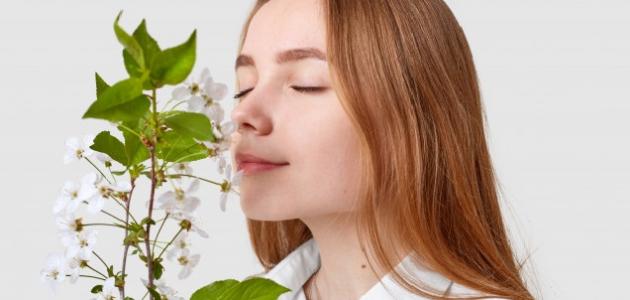 كيف نحافظ على حاسة الشم كيف نحافظ على حاسة الشم