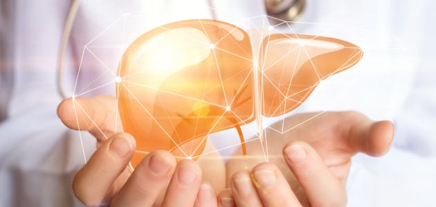 كيف نحافظ على صحة الكبد