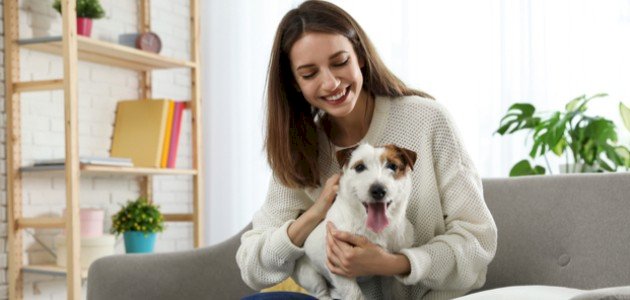 كيف يتم تربية الكلاب كيف يتم تربية الكلاب