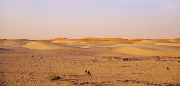 كيف يحدث التصحر كيف يحدث التصحر