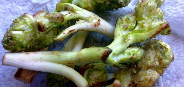 كيف يطبخ العكوب كيف يطبخ العكوب