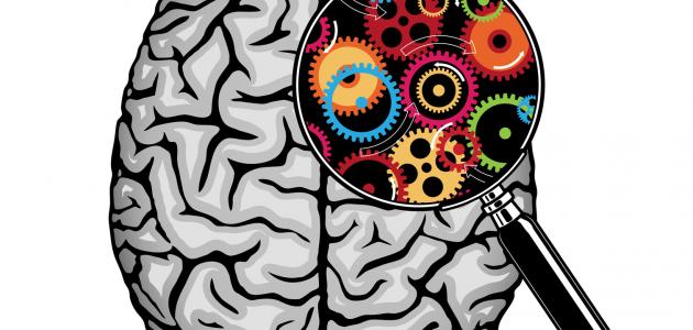 كيف يعمل العقل كيف يعمل العقل