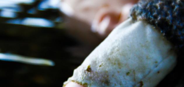 كيف يموت الانسان غرقا كيف يموت الانسان غرقا