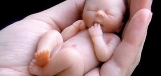 كيف يُخلق الانسان