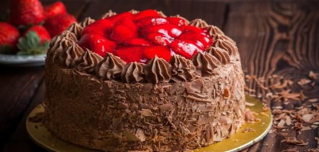 كيك عيد الميلاد بالشوكولاتة