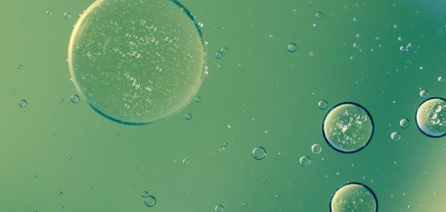 لماذا يطفو الزيت فوق الماء