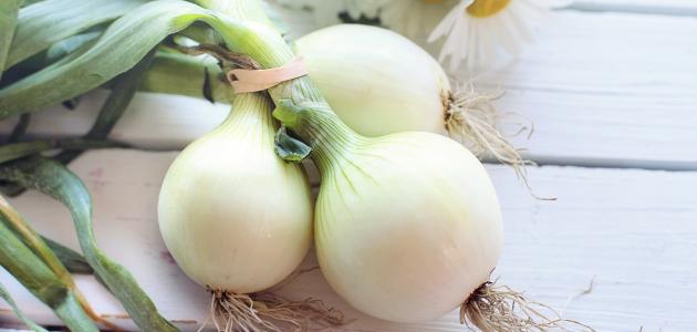 ماء البصل للشعر ماء البصل للشعر