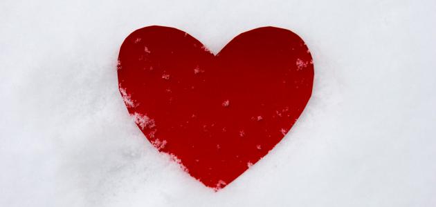 ماذا تحب الفتاة ماذا تحب الفتاة