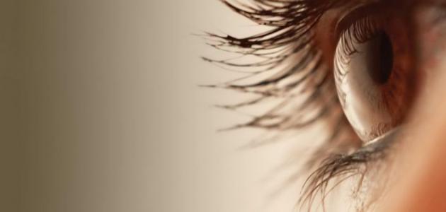 ماذا تعني رفة العين ماذا تعني رفة العين