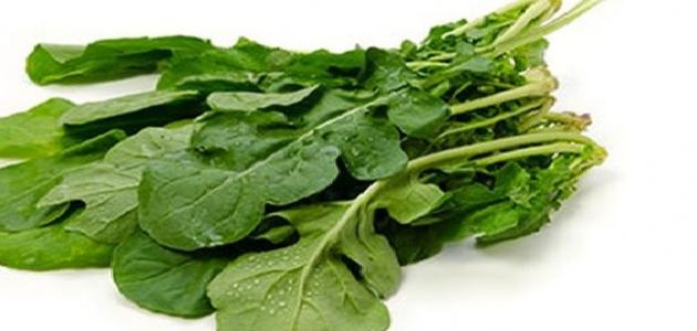 ماسك الجرجير للوجه ماسك الجرجير للوجه