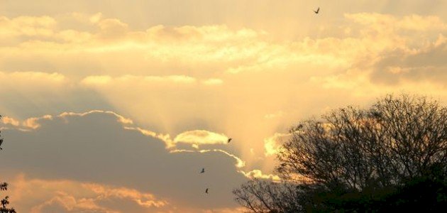 ماهي الفتنة الكبرى وما أسبابها؟ ماهي الفتنة الكبرى وما أسبابها؟