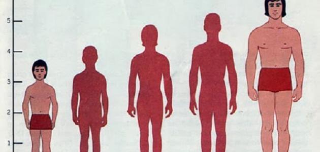 ما أسباب قصر القامة