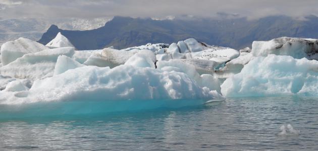 ما أصغر المحيطات في العالم ما أصغر المحيطات في العالم