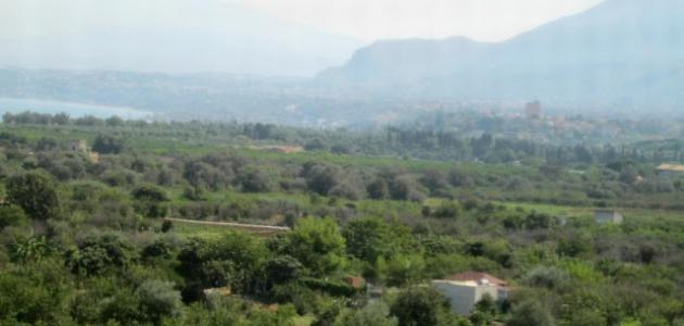 ما أهمية تنوع المناخ في فلسطين ما أهمية تنوع المناخ في فلسطين