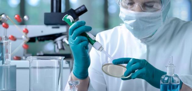 ما أهمية دراسة العلوم الحياتية ما أهمية دراسة العلوم الحياتية