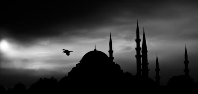 ما اسم أول مسجد شيد فى الإسلام ما اسم أول مسجد شيد فى الإسلام