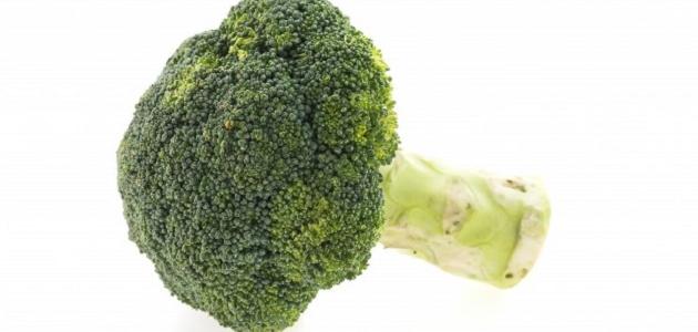 ما الأغذية المفيدة للجنين ما الأغذية المفيدة للجنين