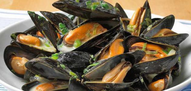 ما الذي يؤكل من الأصداف البحرية ما الذي يؤكل من الأصداف البحرية