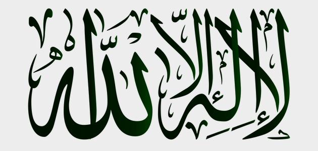 ما الفرق بين نواقض التوحيد ومنقصاته ما الفرق بين نواقض التوحيد ومنقصاته