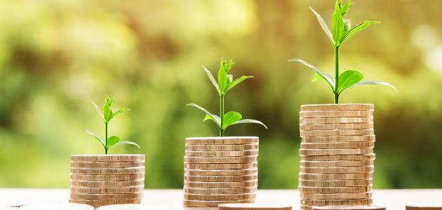 ما حكم زكاة الفطر ما حكم زكاة الفطر