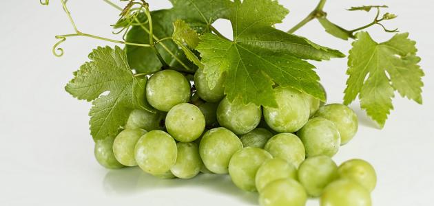 ما علاج دوالي الساقين