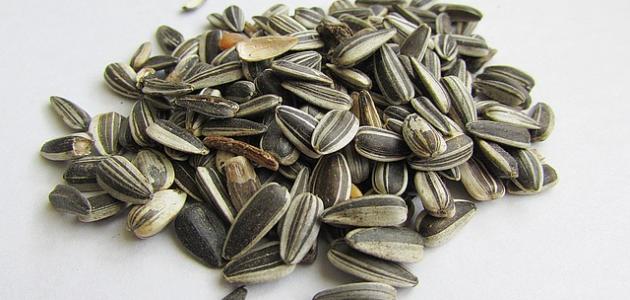 ما فائدة بذور عباد الشمس ما فائدة بذور عباد الشمس