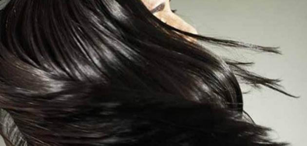 ما فائدة زيت الزيتون للشعر ما فائدة زيت الزيتون للشعر