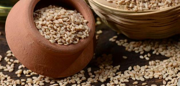 ما فوائد أكل السمسم ما فوائد أكل السمسم