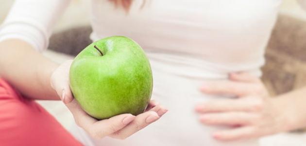 ما فوائد التفاح الأخضر للحامل ما فوائد التفاح الأخضر للحامل
