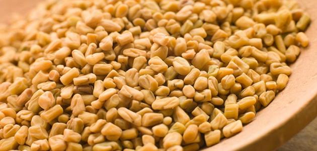 ما فوائد الحلبة للوجه