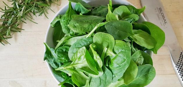 ما فوائد السبانخ ما فوائد السبانخ
