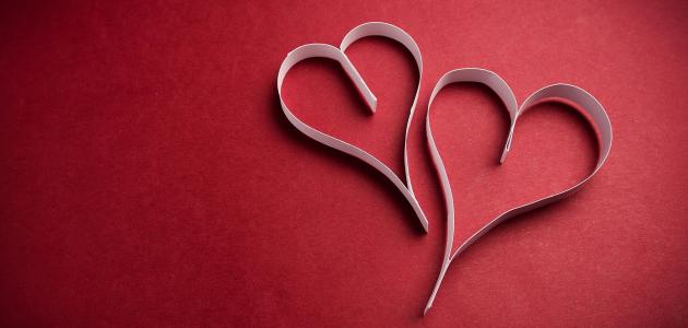 ما هو أساس الحب ما هو أساس الحب