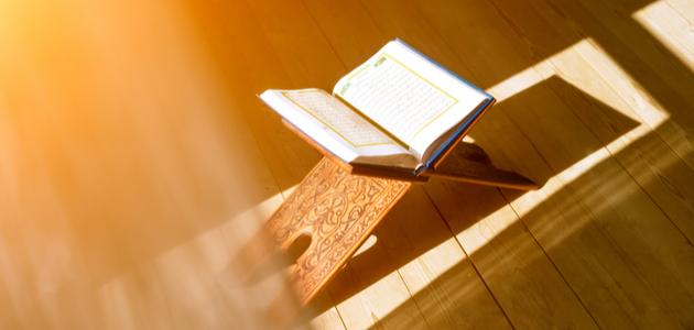 ما هو الإظهار المطلق