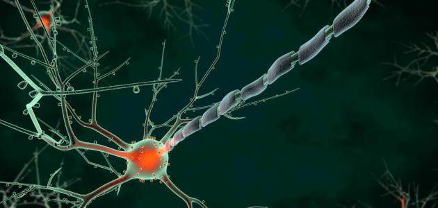 ما هو التهاب العصب السابع