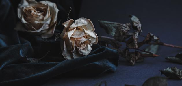 ما هو الحداد ما هو الحداد