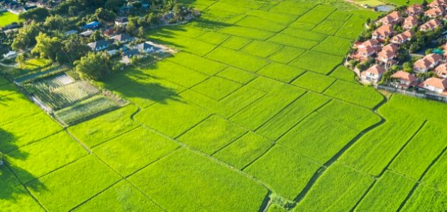 ما هو الدونم