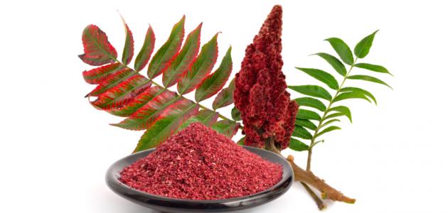 ما هو السماق ما هو السماق