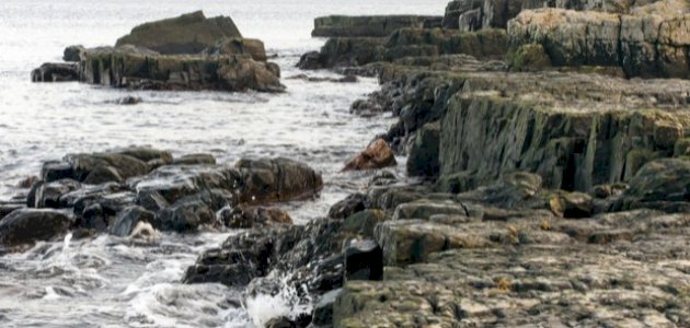 ما هو الشاطئ الصخري؟ ما هو الشاطئ الصخري؟