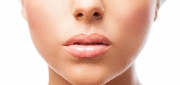 ما هو الكولاجين للوجه ما هو الكولاجين للوجه